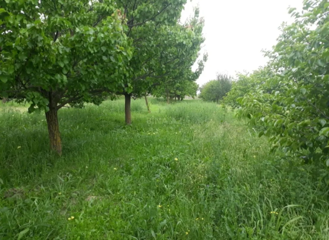 Satılır torpaq sahəsi 10 m²