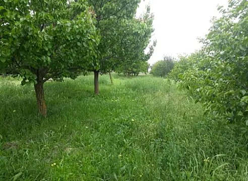 Satılır torpaq sahəsi 10 m²