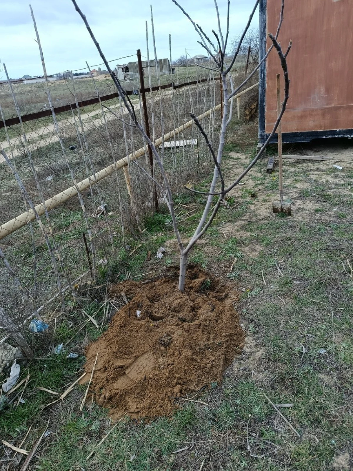 Satılır torpaq sahəsi 6 m²