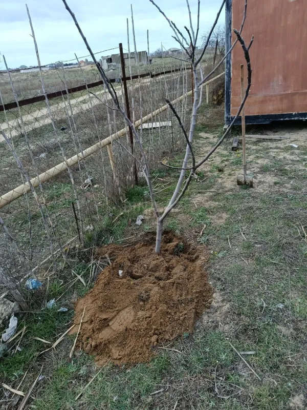 Satılır torpaq sahəsi 6 m²