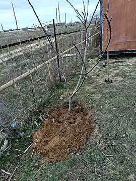 Satılır torpaq sahəsi 6 m²