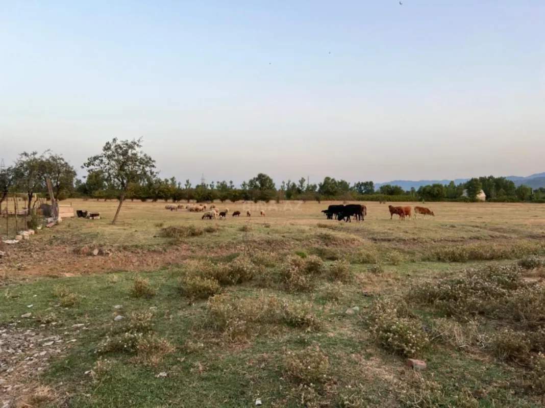 Satılır torpaq sahəsi 400 m²