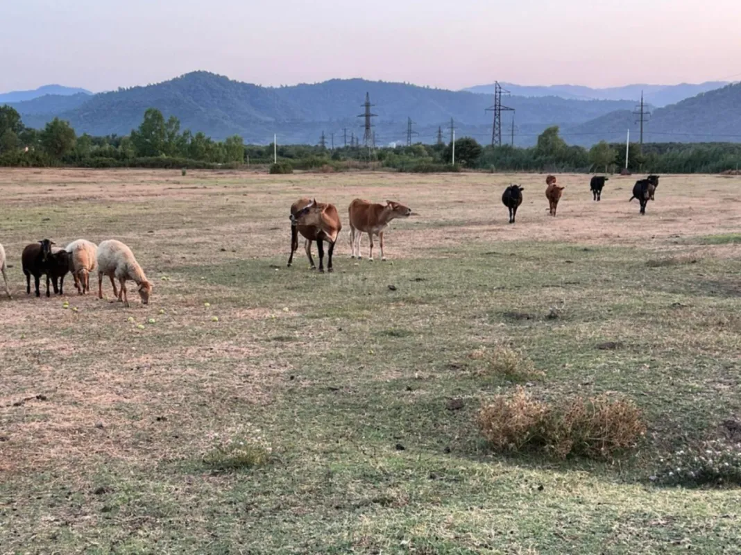 Satılır torpaq sahəsi 400 m²