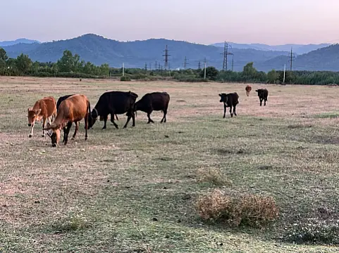 Satılır torpaq sahəsi 400 m²