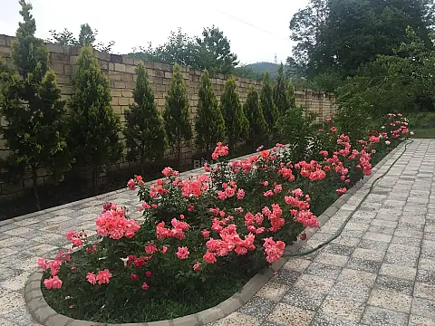 Satılır 5 otaqlı həyət evi 170 m²