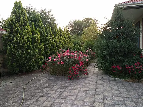 Satılır 5 otaqlı həyət evi 170 m²