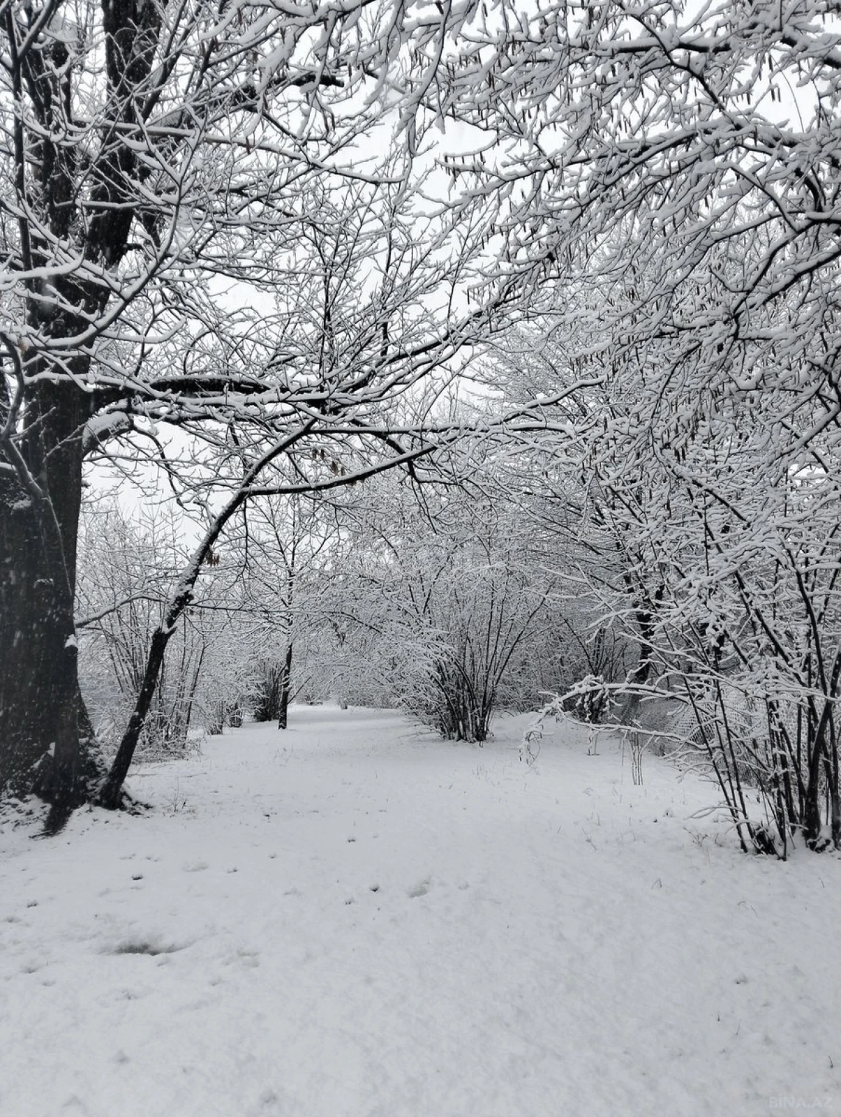 Satılır 5 otaqlı həyət evi 108 m²