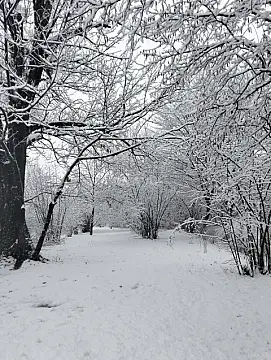 Satılır 5 otaqlı həyət evi 108 m²