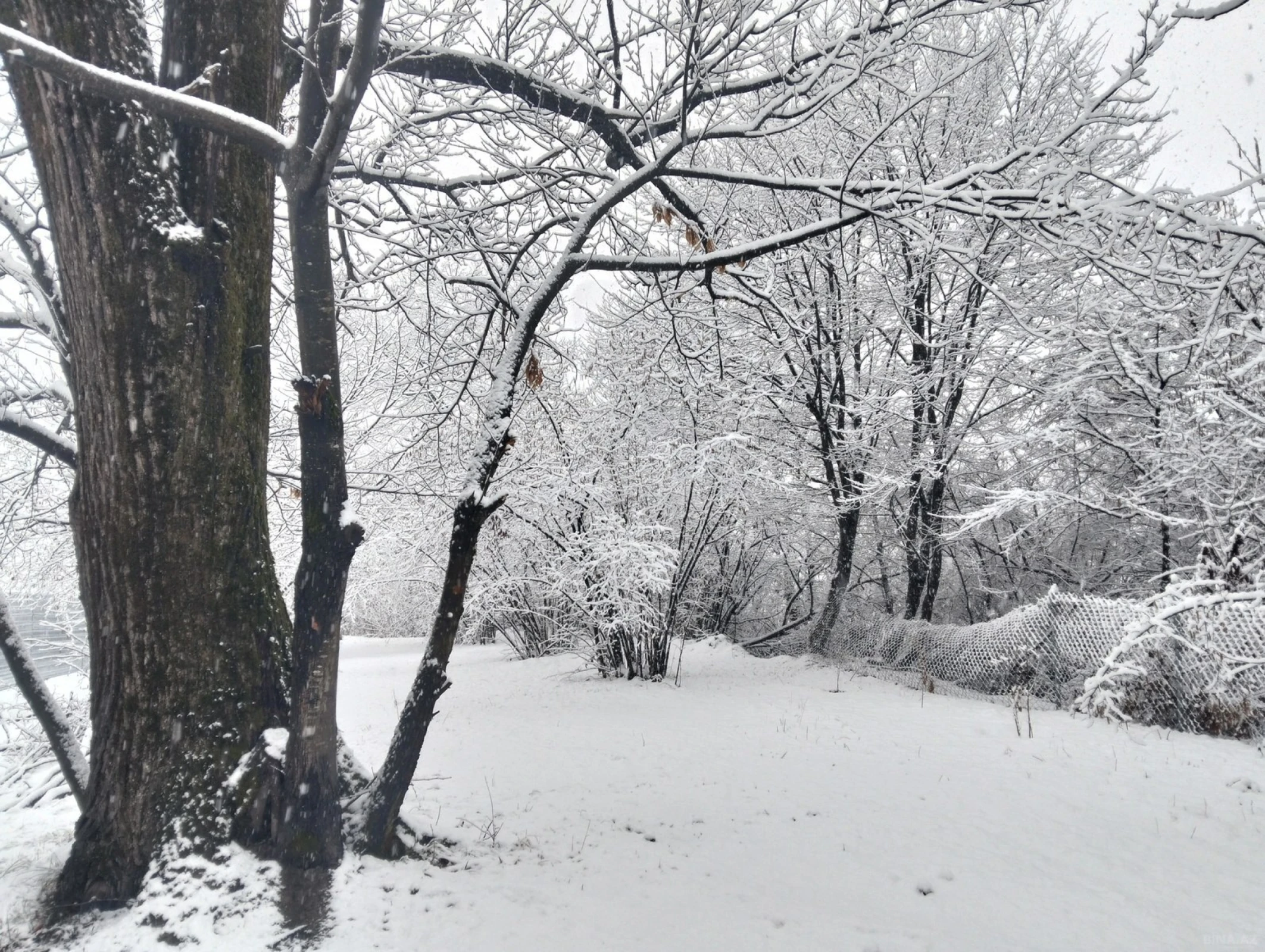 Satılır 5 otaqlı həyət evi 108 m²