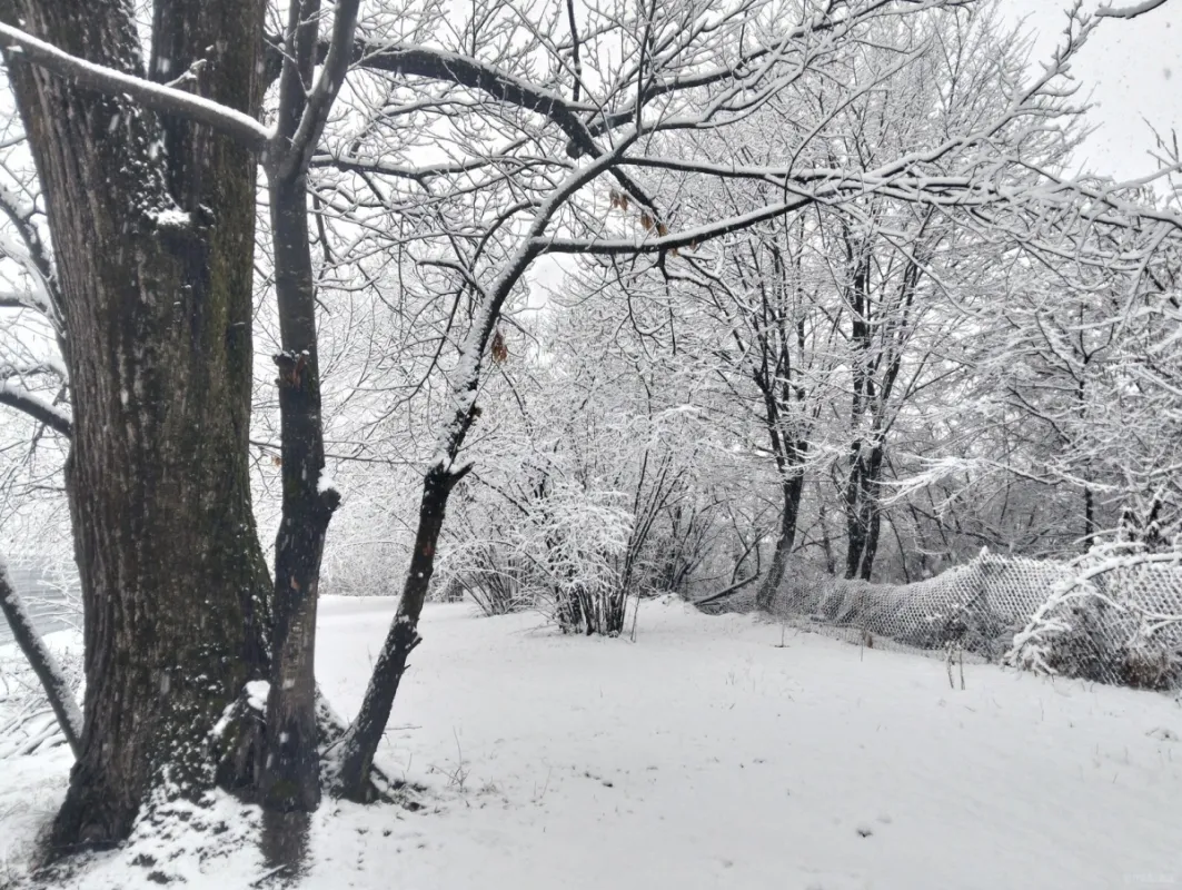 Satılır 5 otaqlı həyət evi 108 m²