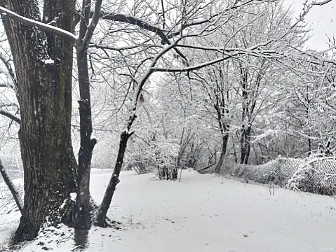 Satılır 5 otaqlı həyət evi 108 m²