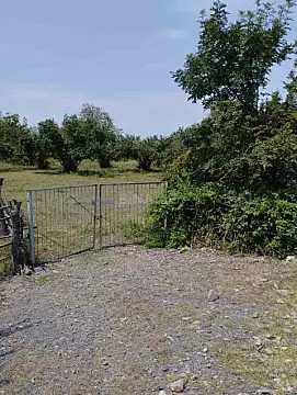 Satılır torpaq sahəsi 30 m² — Qəbələ 30.00 m²