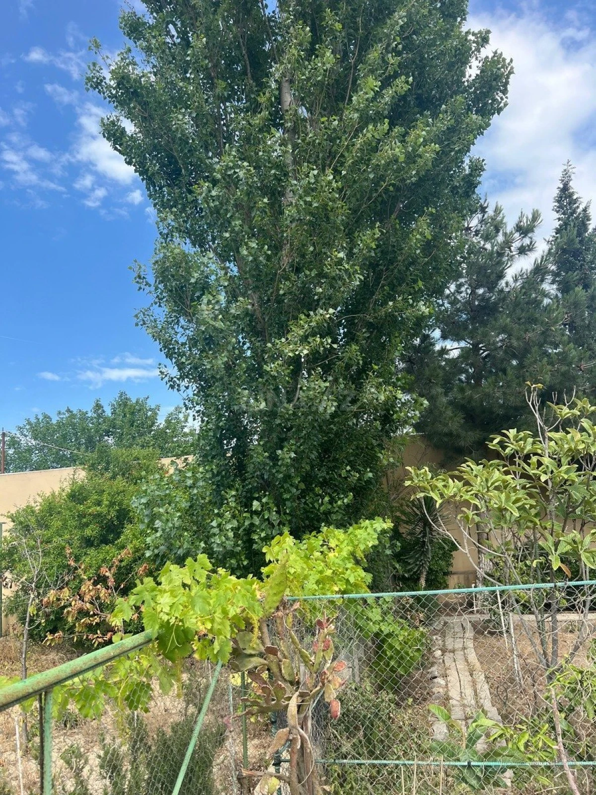 Satılır 3 otaqlı həyət evi 150 m²