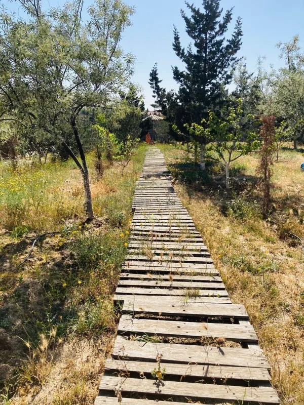 Satılır 6 otaqlı həyət evi 270 m²