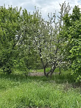 Satılır torpaq sahəsi 31 m² — Gəncə 31.00 m²