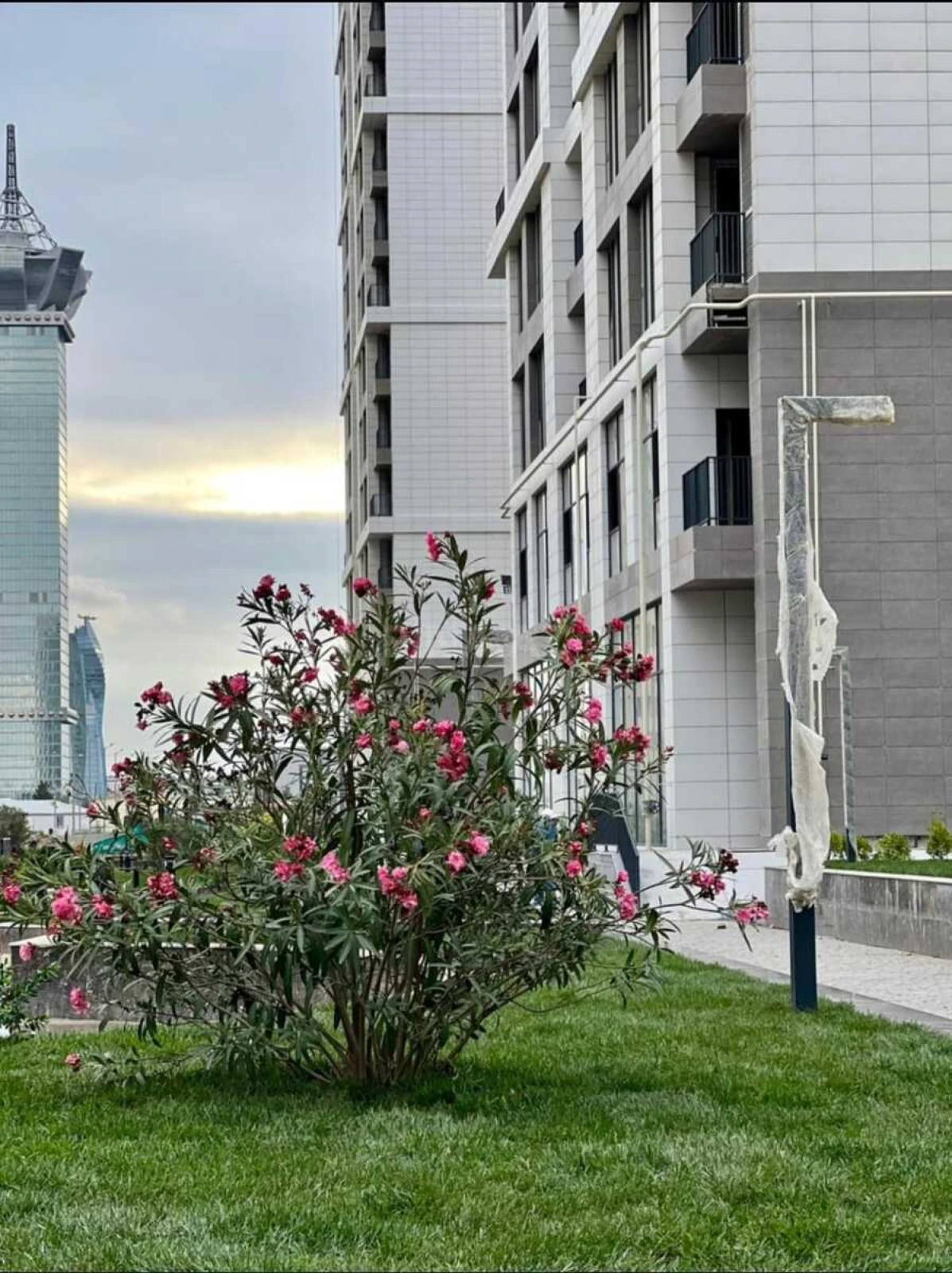 Satılır 2 otaqlı mənzil 79.3 m²