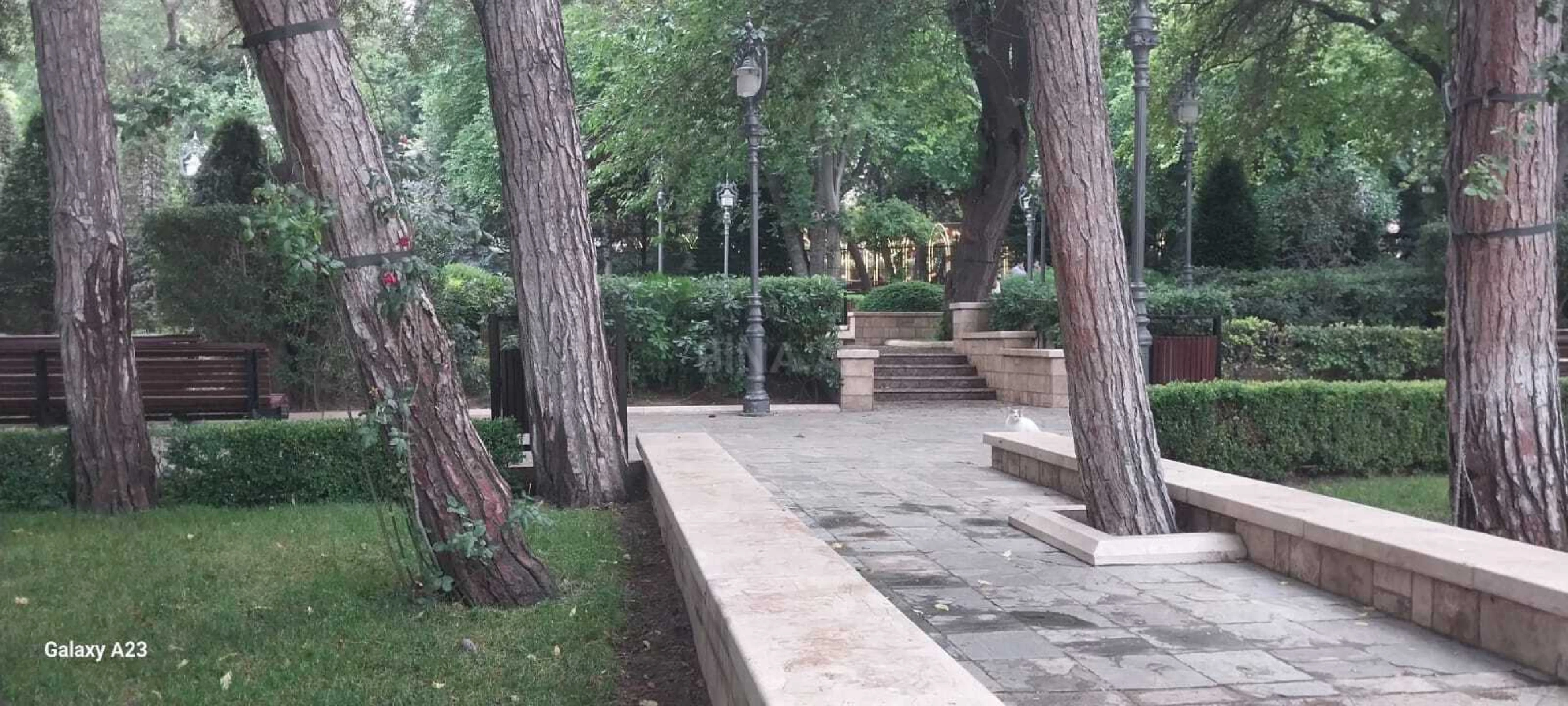 Kirayə verilir 4 otaqlı mənzil 210 m²