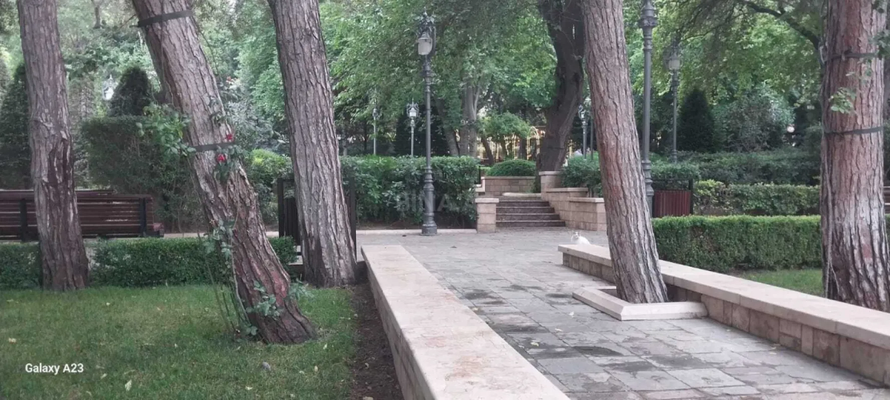 Kirayə verilir 4 otaqlı mənzil 210 m²