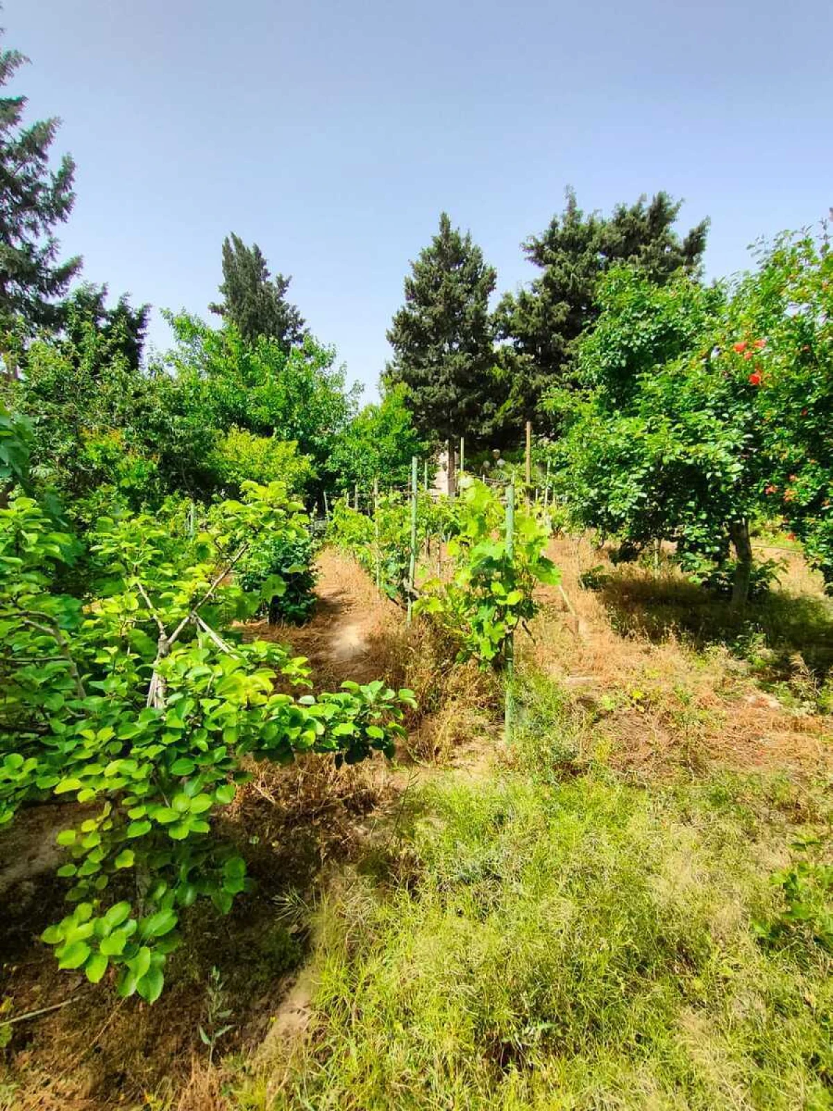 Satılır 4 otaqlı həyət evi 200 m²