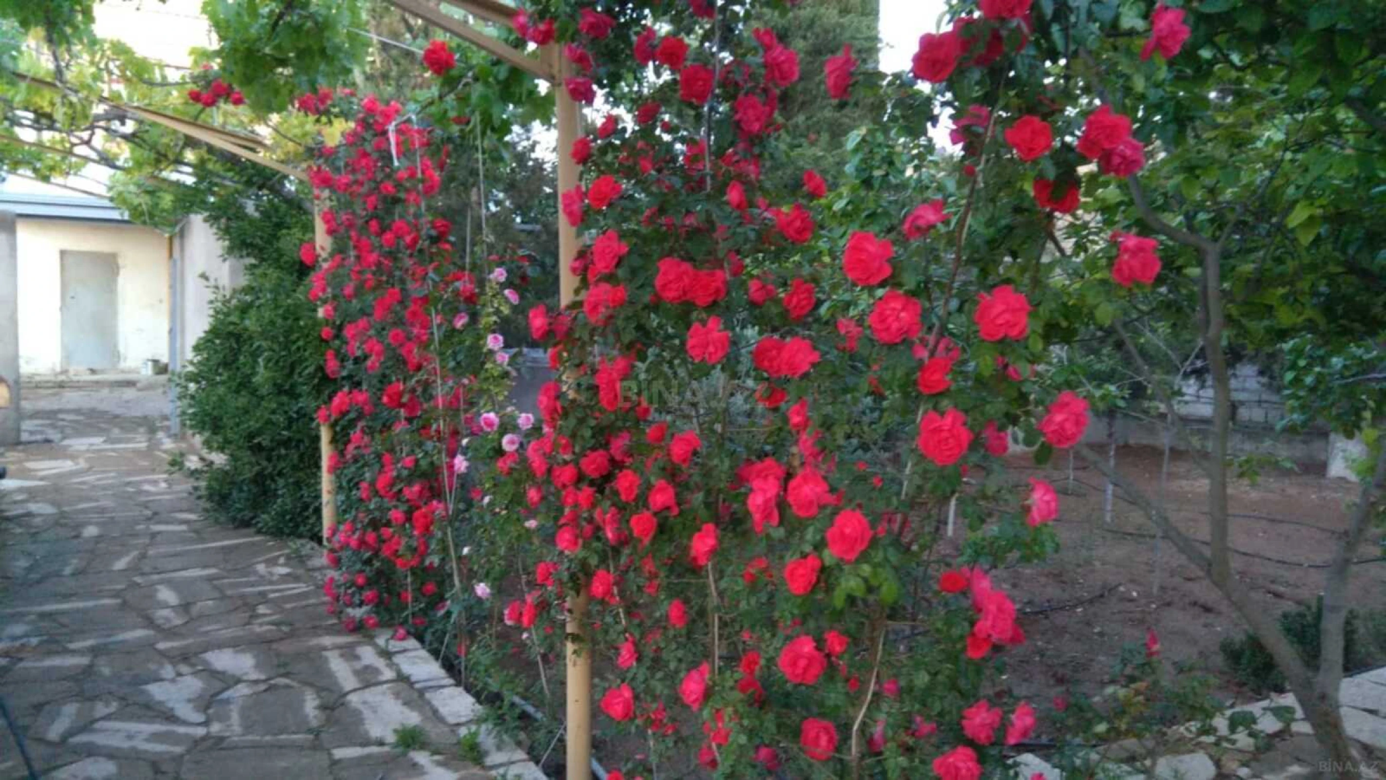 Satılır 7 otaqlı həyət evi 350 m²