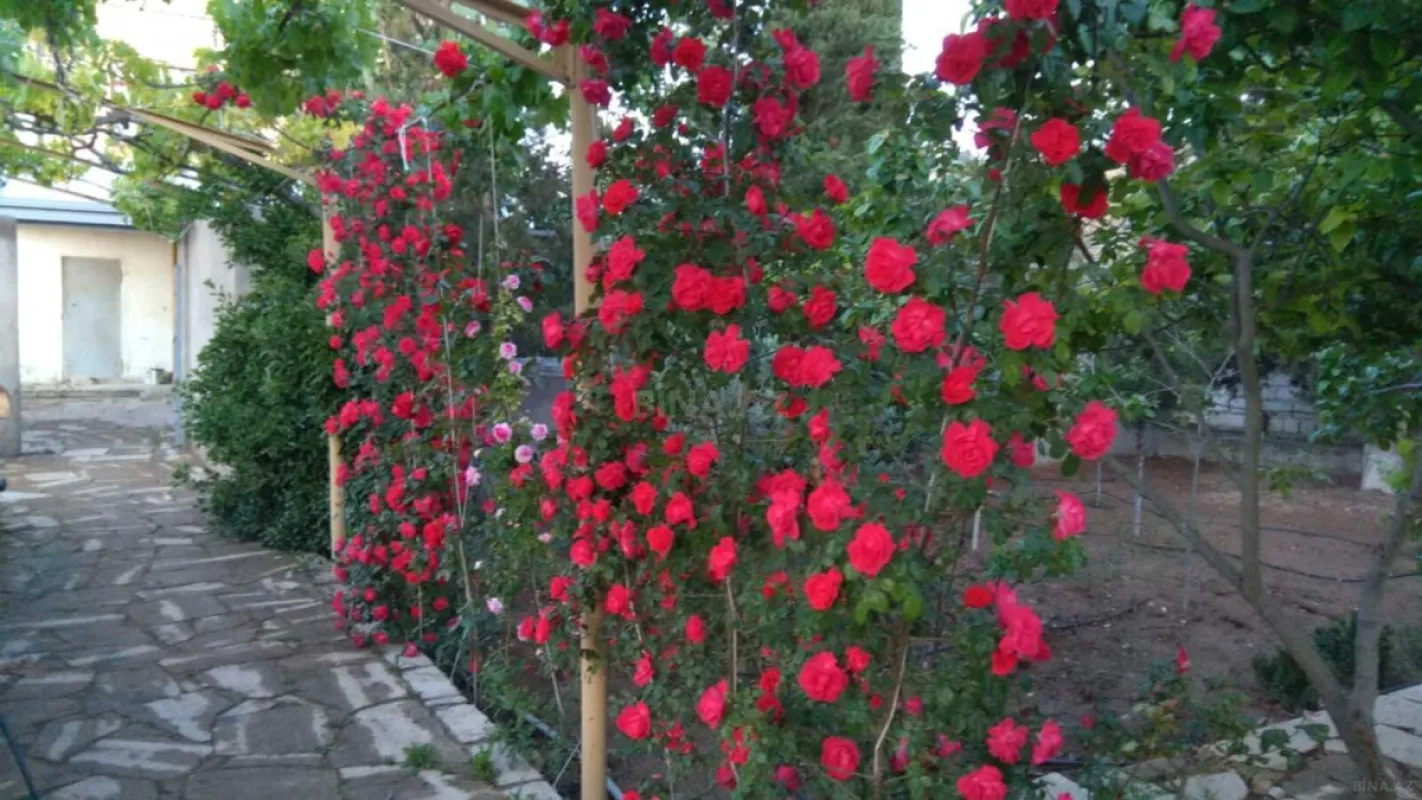 Satılır 7 otaqlı həyət evi 350 m²