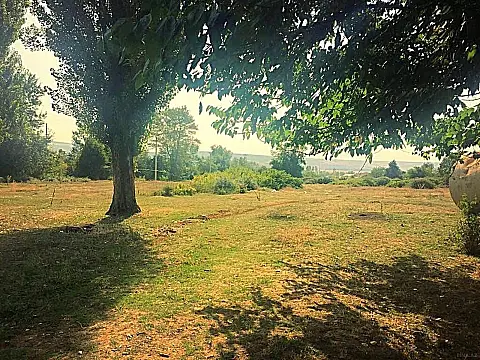 Satılır torpaq sahəsi 550 m² — İsmayıllı 550.00 m²