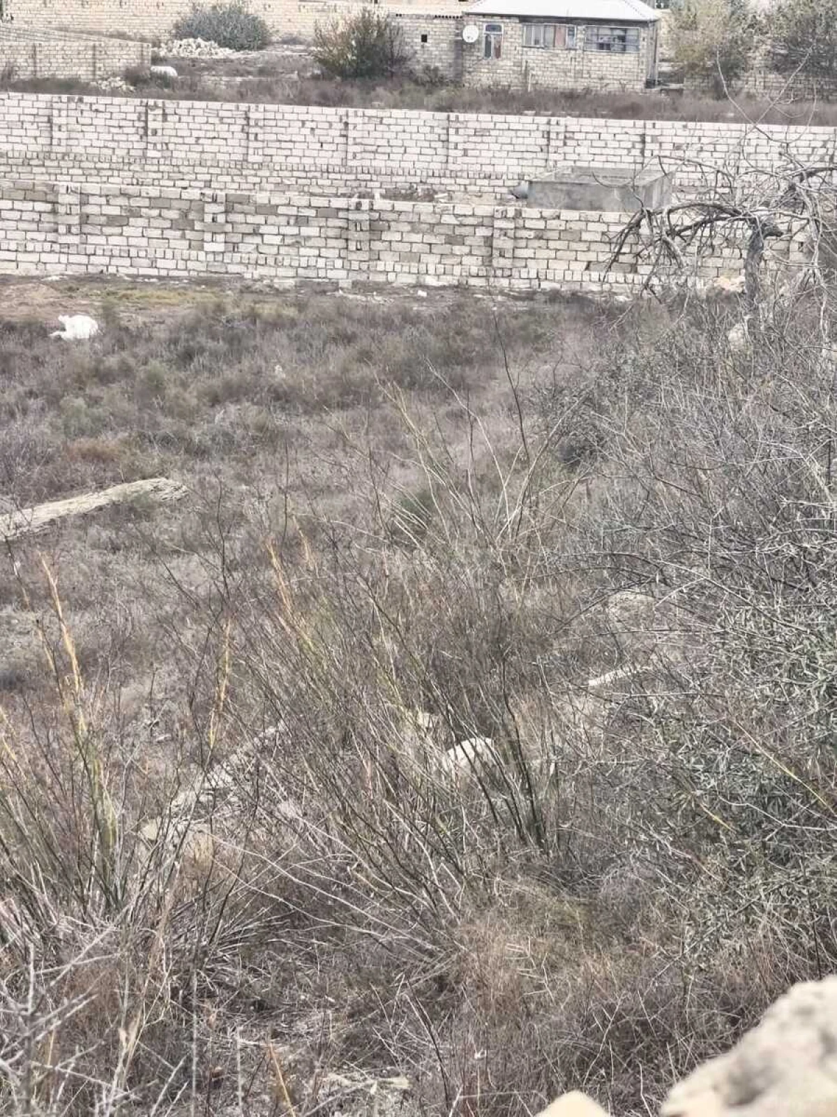 Satılır torpaq sahəsi 3 m²