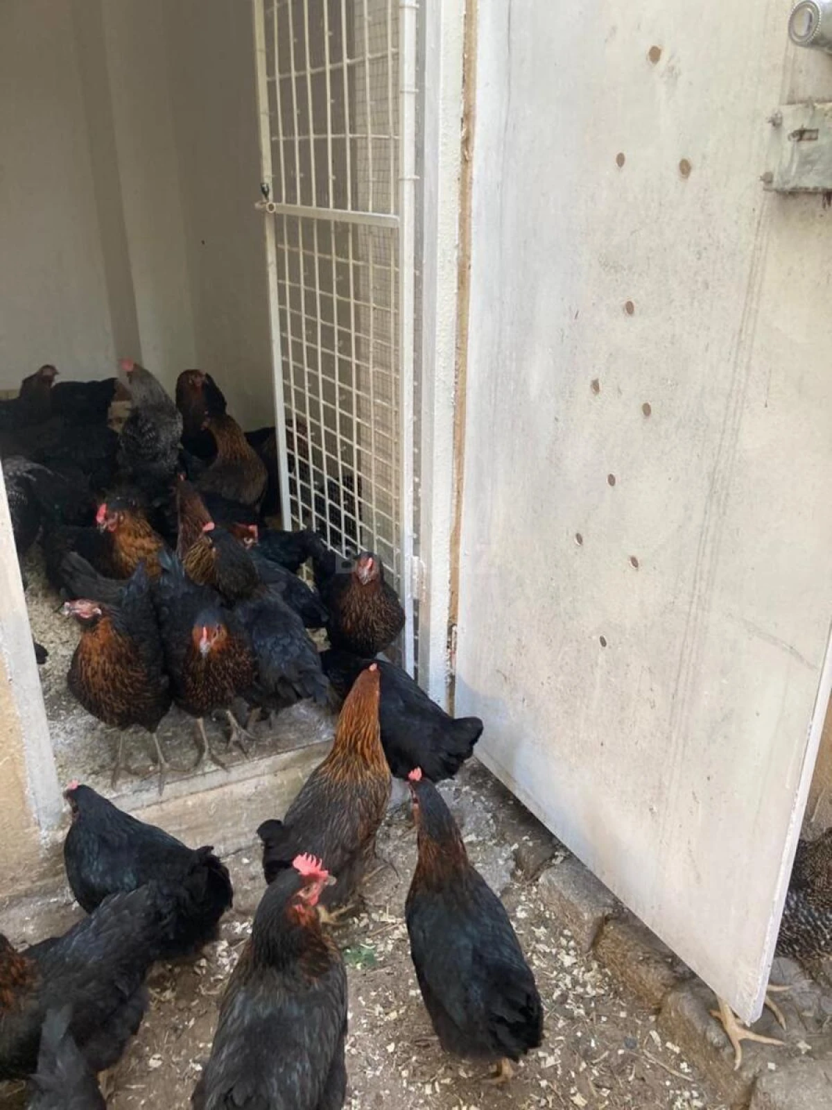 Satılır 4 otaqlı həyət evi 162 m²