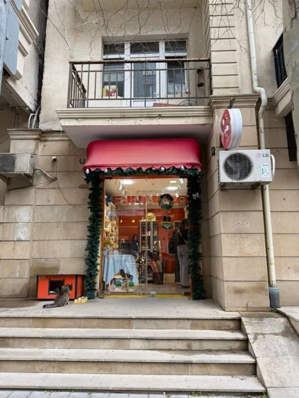 Satılır obyekt 67 m²