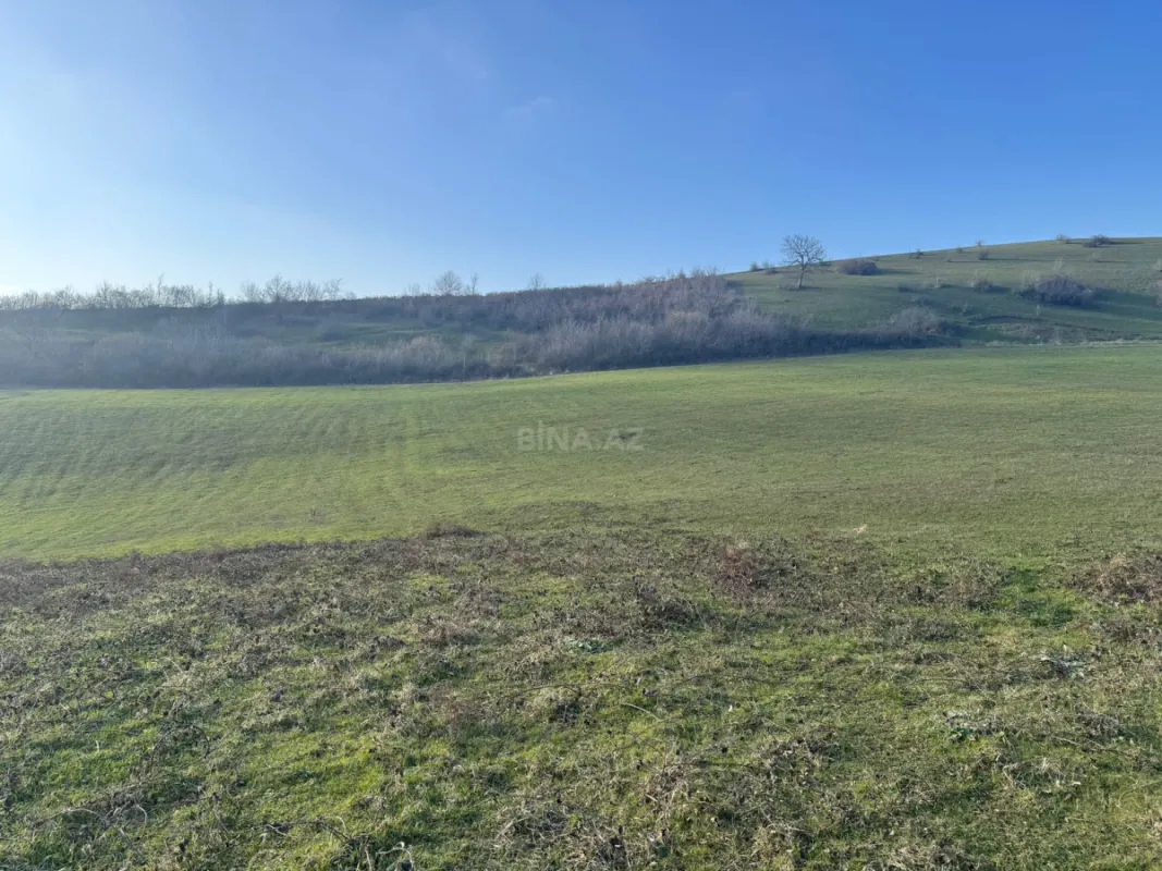 Satılır torpaq sahəsi 100 m²