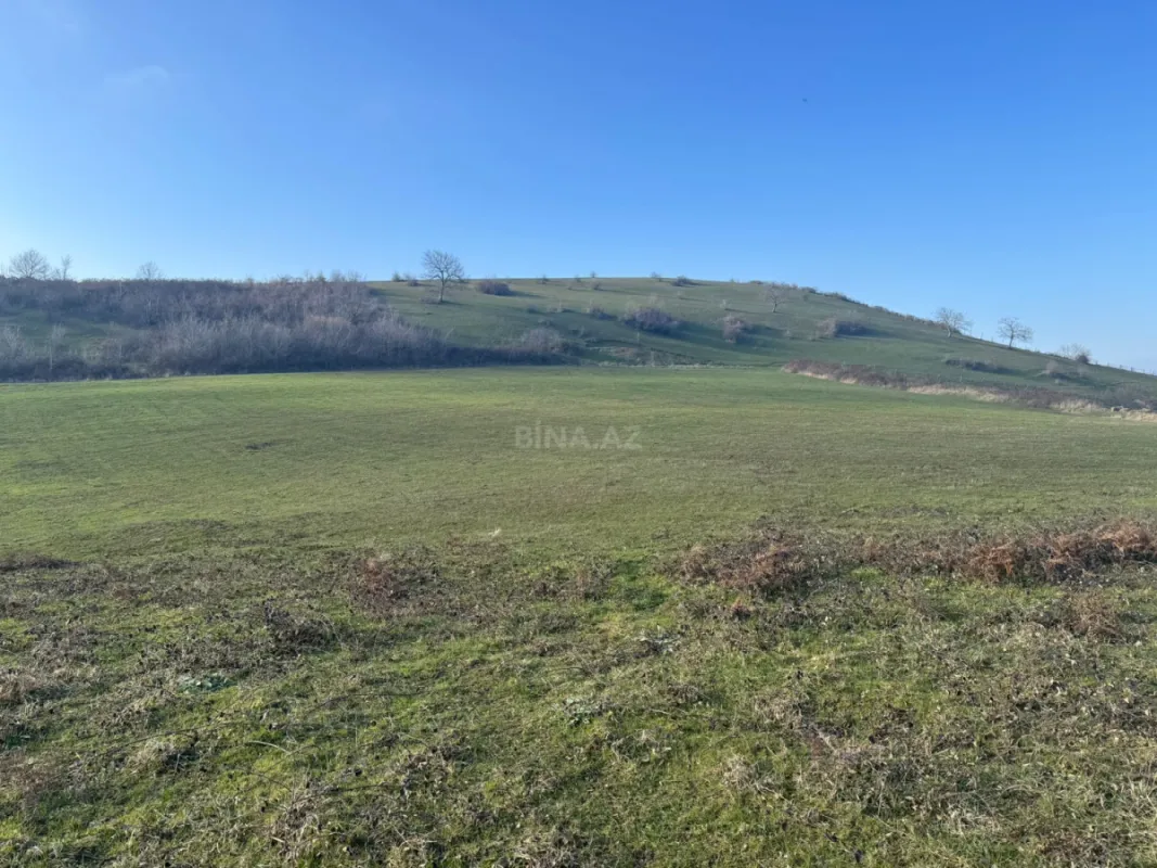 Satılır torpaq sahəsi 100 m²