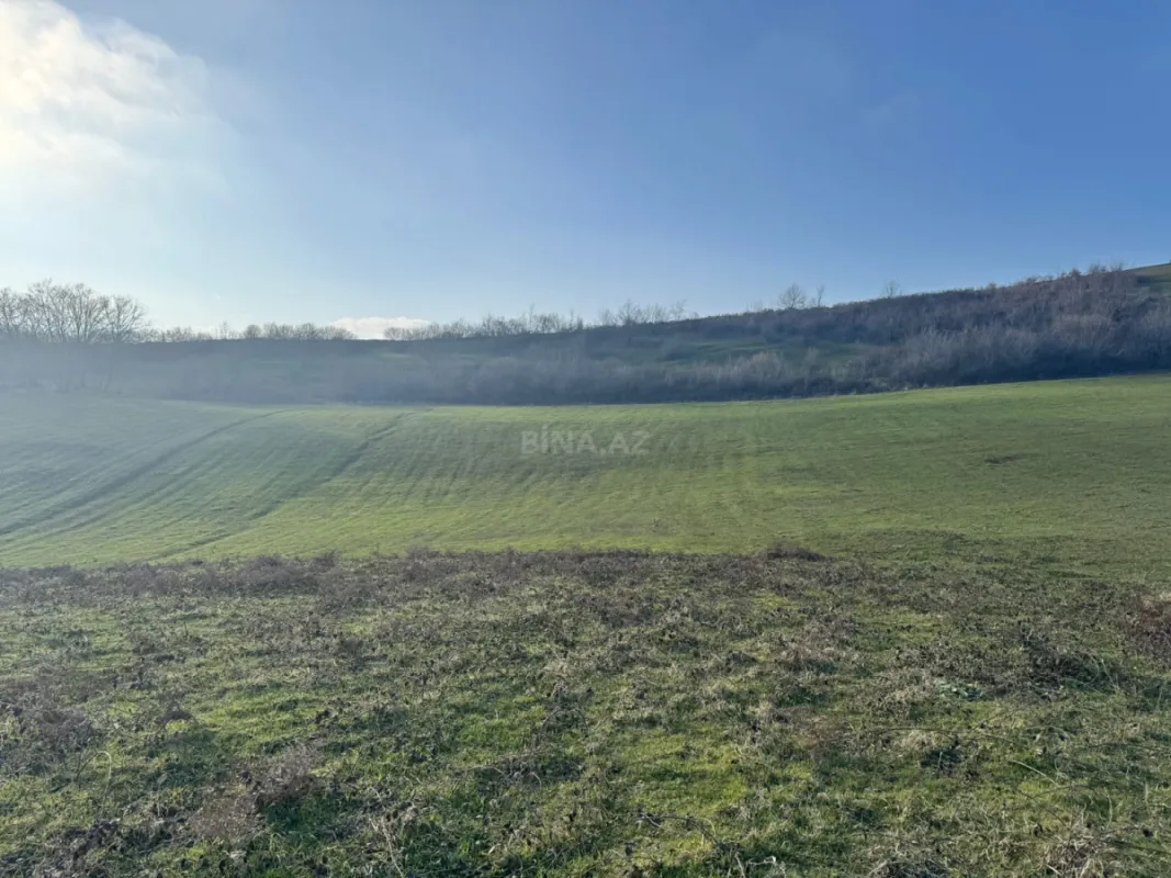 Satılır torpaq sahəsi 100 m²