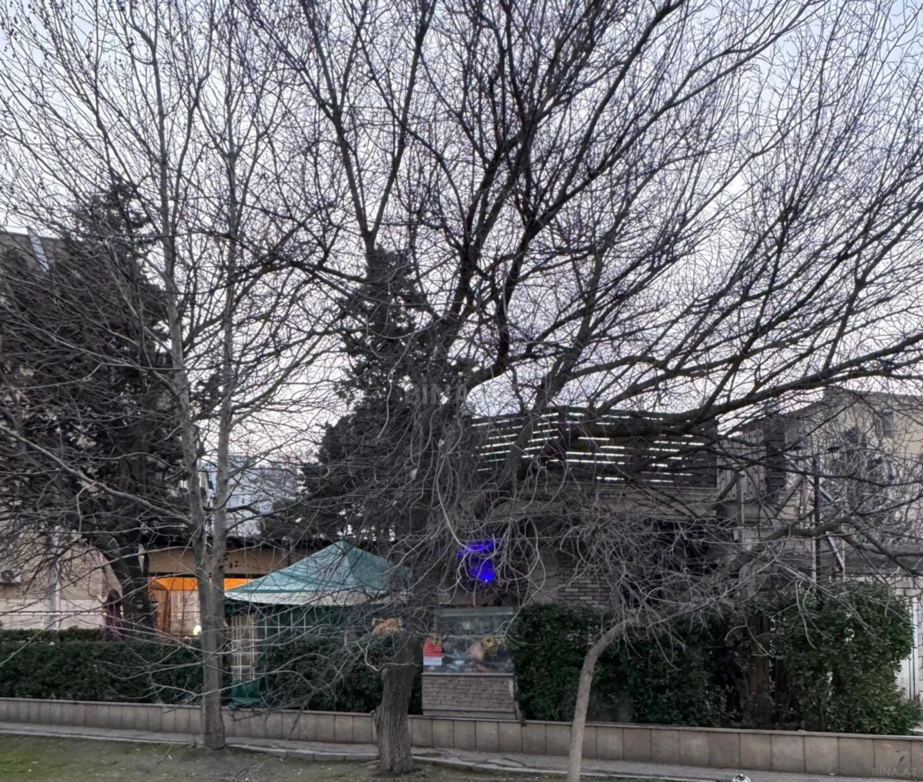 Satılır obyekt 80 m²