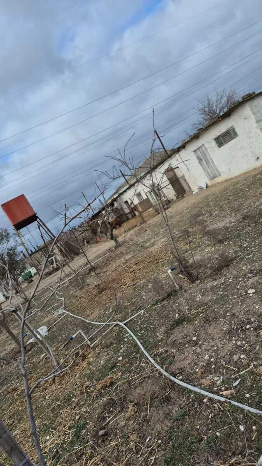 Satılır 3 otaqlı həyət evi 120 m²