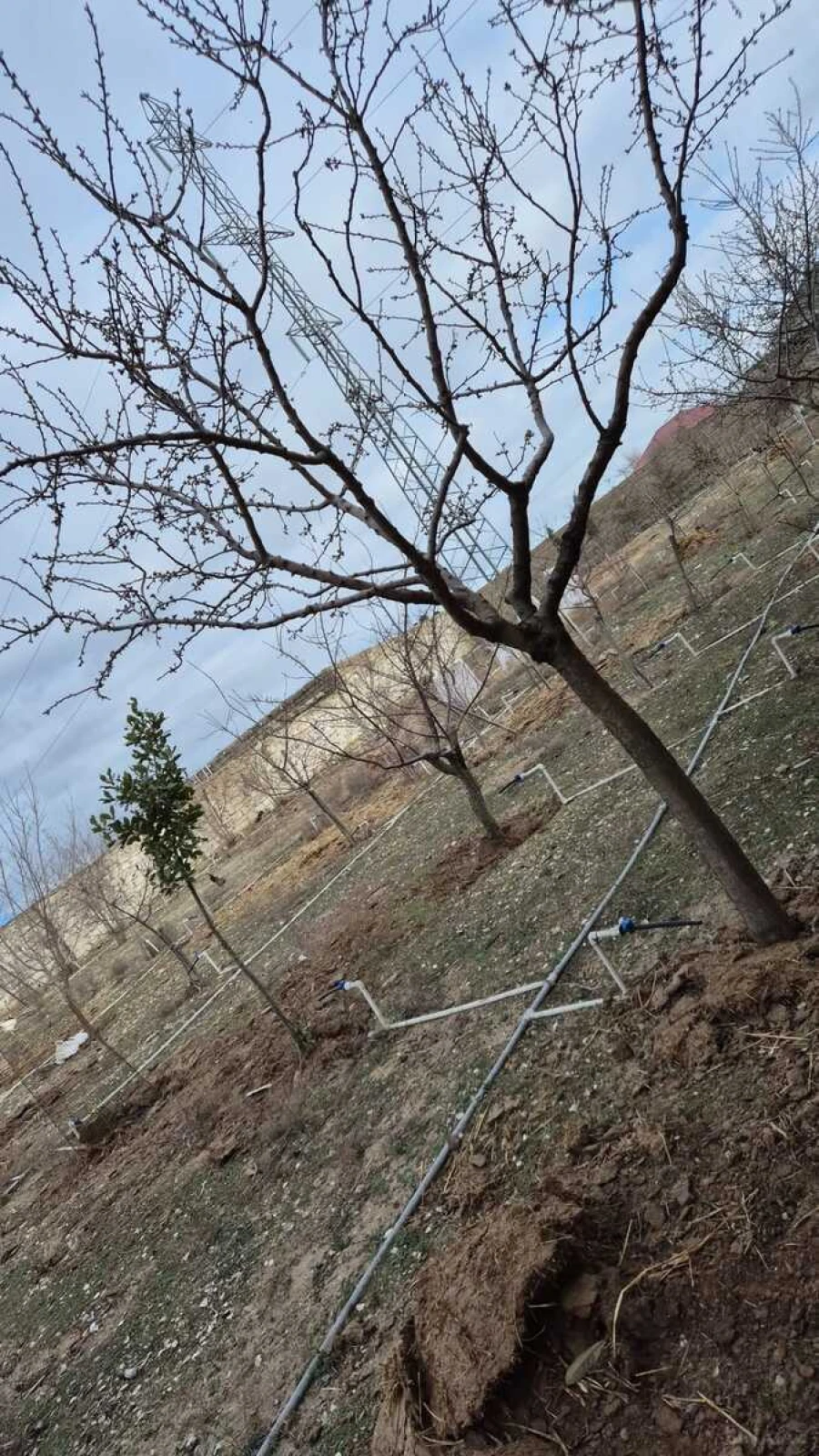 Satılır 3 otaqlı həyət evi 120 m²