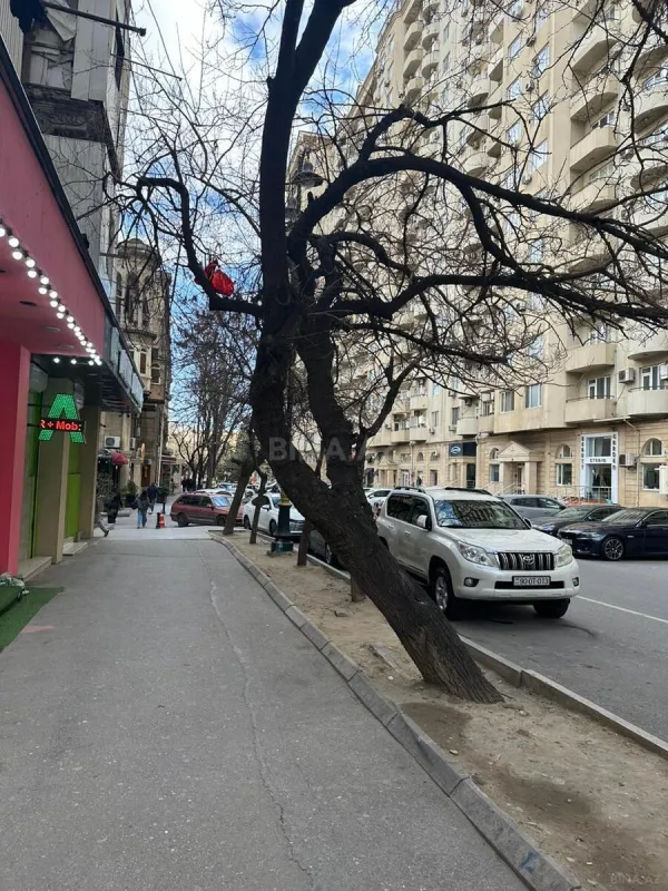 Satılır obyekt 67 m²