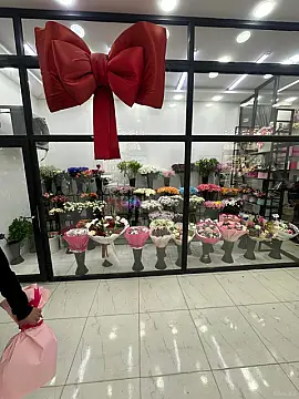 Satılır obyekt 67 m²