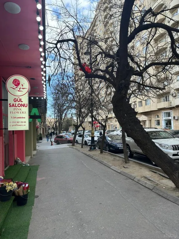 Satılır obyekt 67 m²