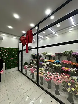 Satılır obyekt 67 m²