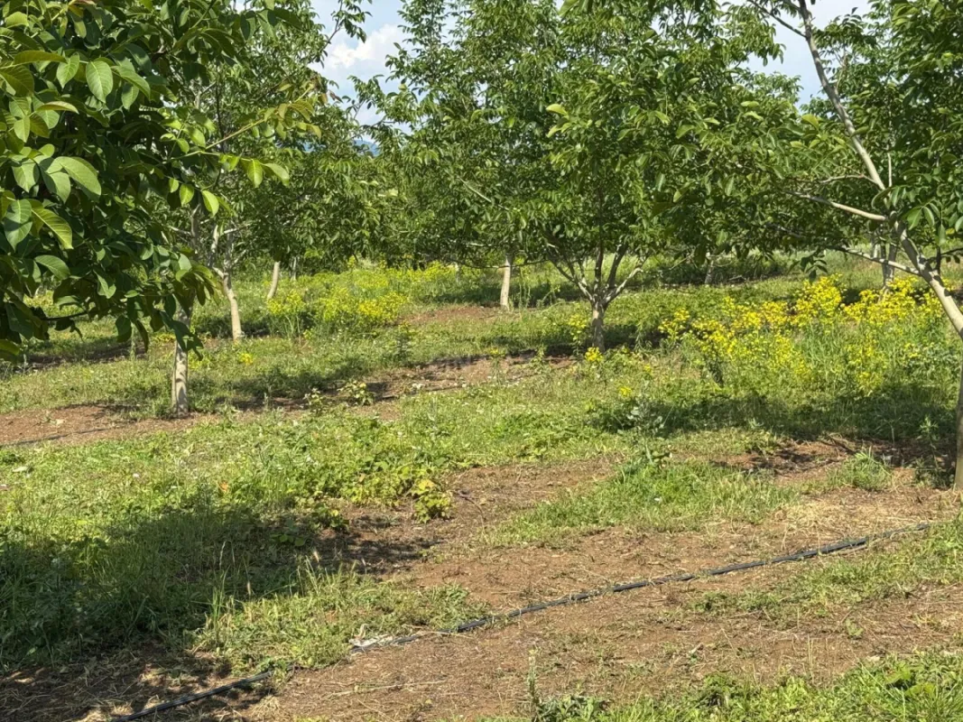 Satılır torpaq sahəsi 2 m²