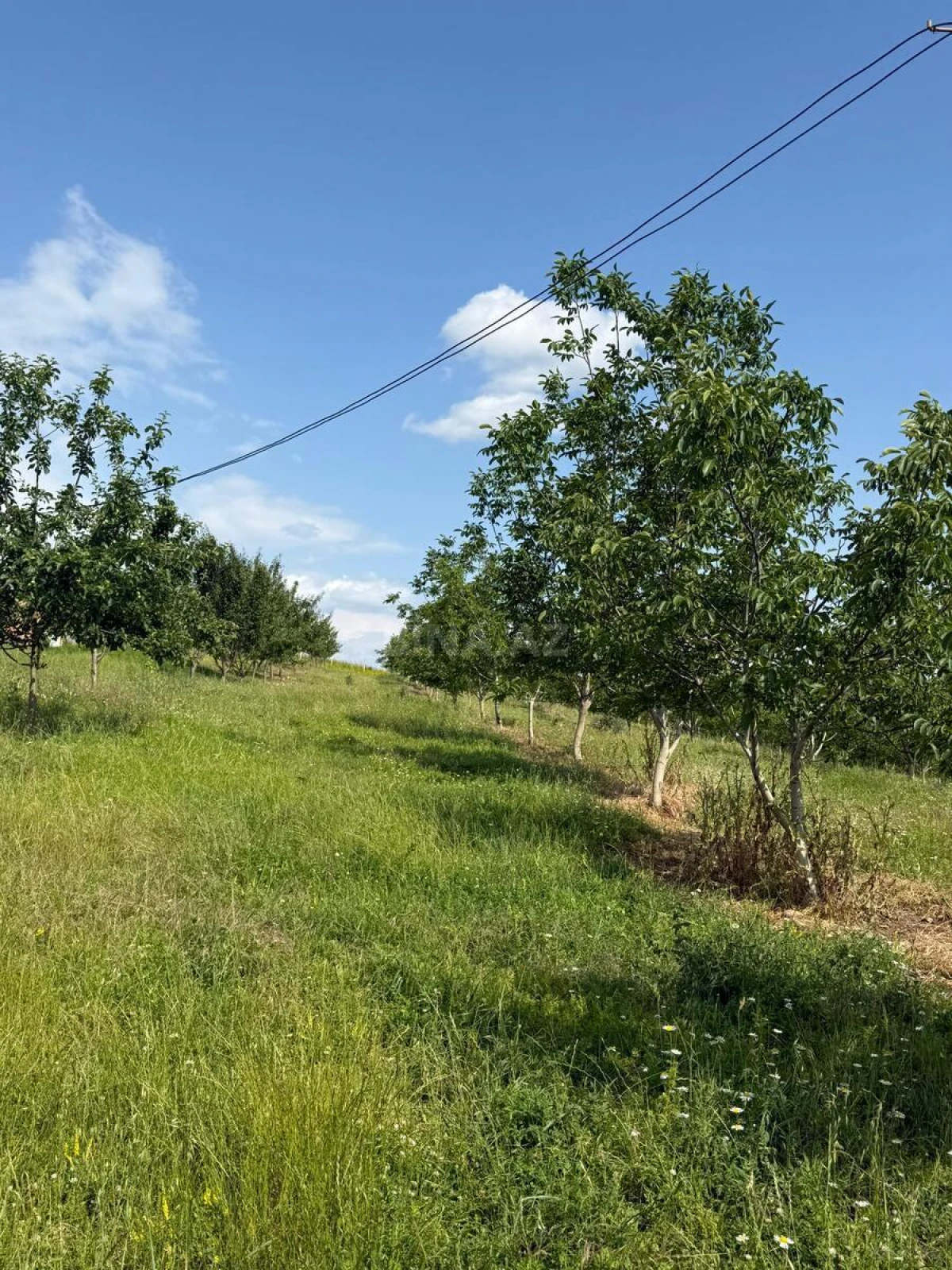 Satılır torpaq sahəsi 2 m²