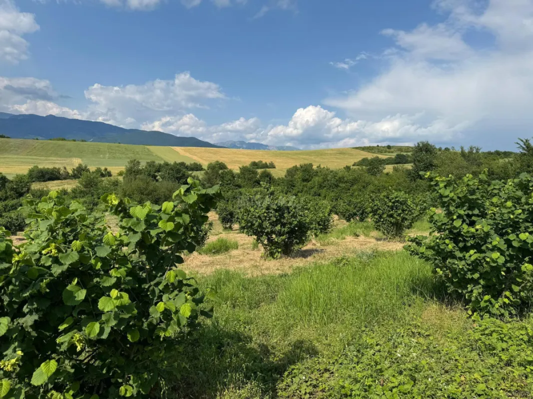 Satılır torpaq sahəsi 2 m²