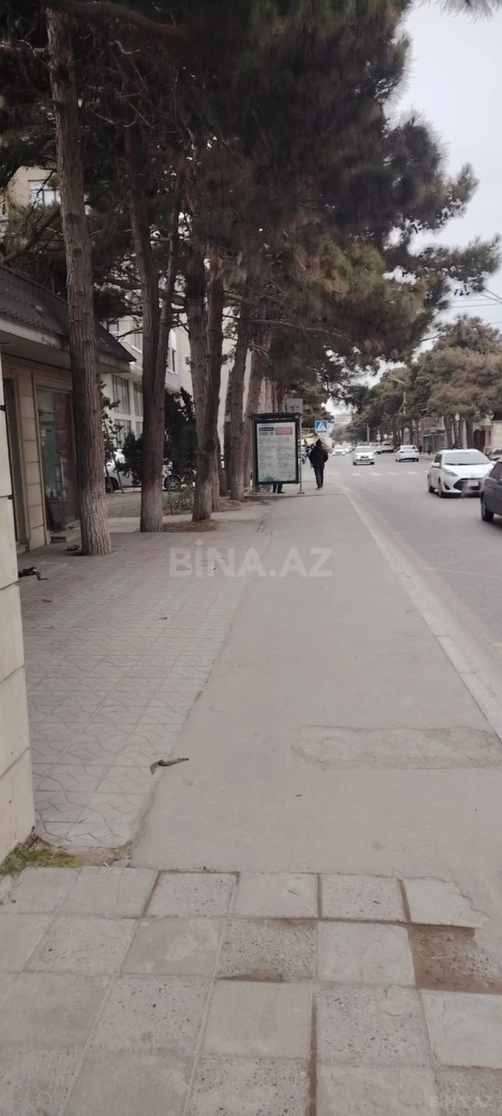 Kirayə verilir obyekt 200 m²