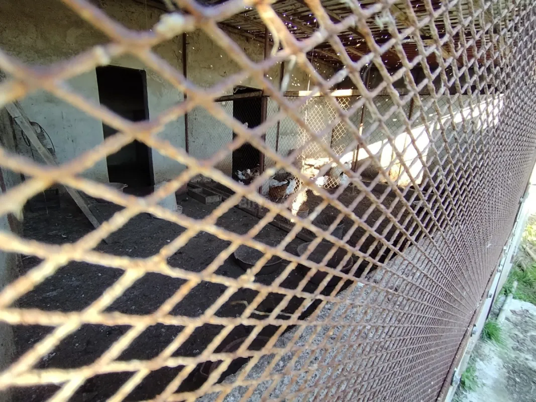 Satılır 5 otaqlı həyət evi 180 m²