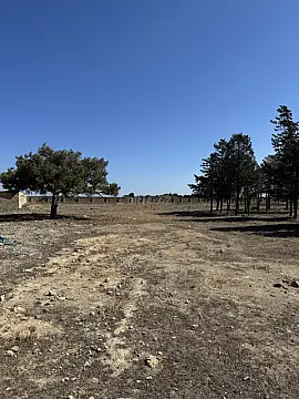 Satılır torpaq sahəsi 100 m²