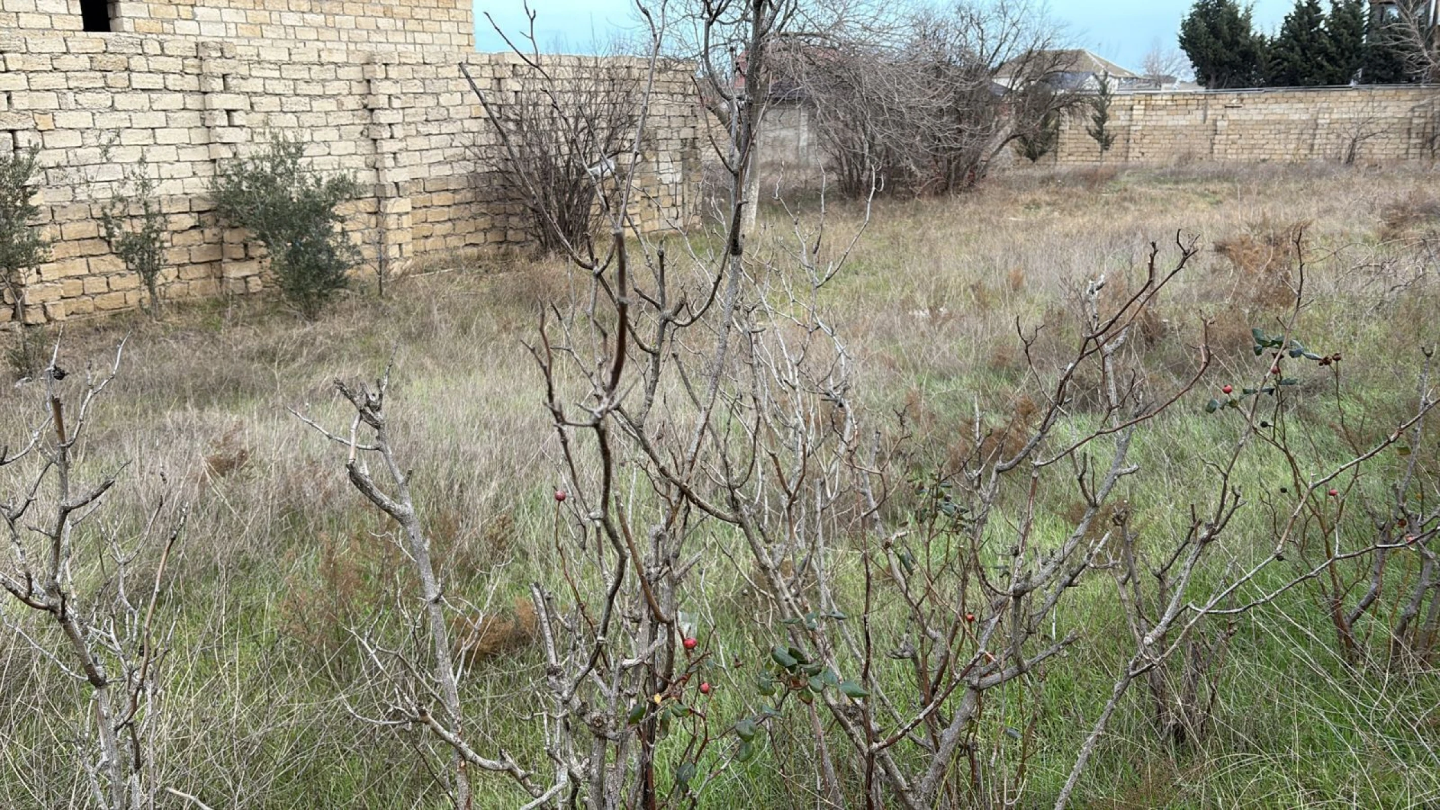 Satılır 1 otaqlı həyət evi 70 m²