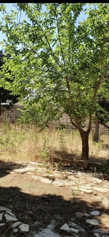 Satılır torpaq sahəsi 9 m²