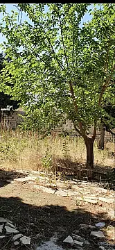 Satılır torpaq sahəsi 9 m²