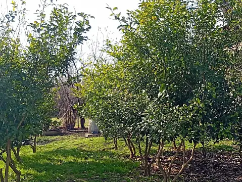 Satılır 3 otaqlı həyət evi 140 m²