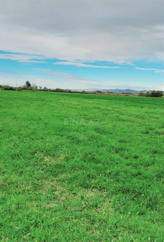 Satılır torpaq sahəsi 21000 m²